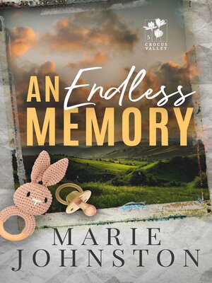 cover image of An Endless Memory
